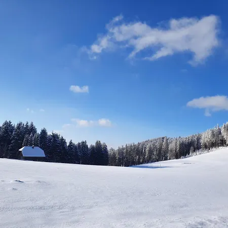 Ferienhaus-schoenwald, 2 Schlafzimmer, Kueche, Dachterrasse, Balkon App24