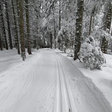 Ferienhaus-schoenwald, 2 Schlafzimmer, Kueche, Dachterrasse, Balkon App24 Appartement Schönwalde