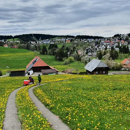 Ferienhaus-schoenwald, 2 Schlafzimmer, Kueche, Dachterrasse, Balkon App24 Appartement Schönwalde